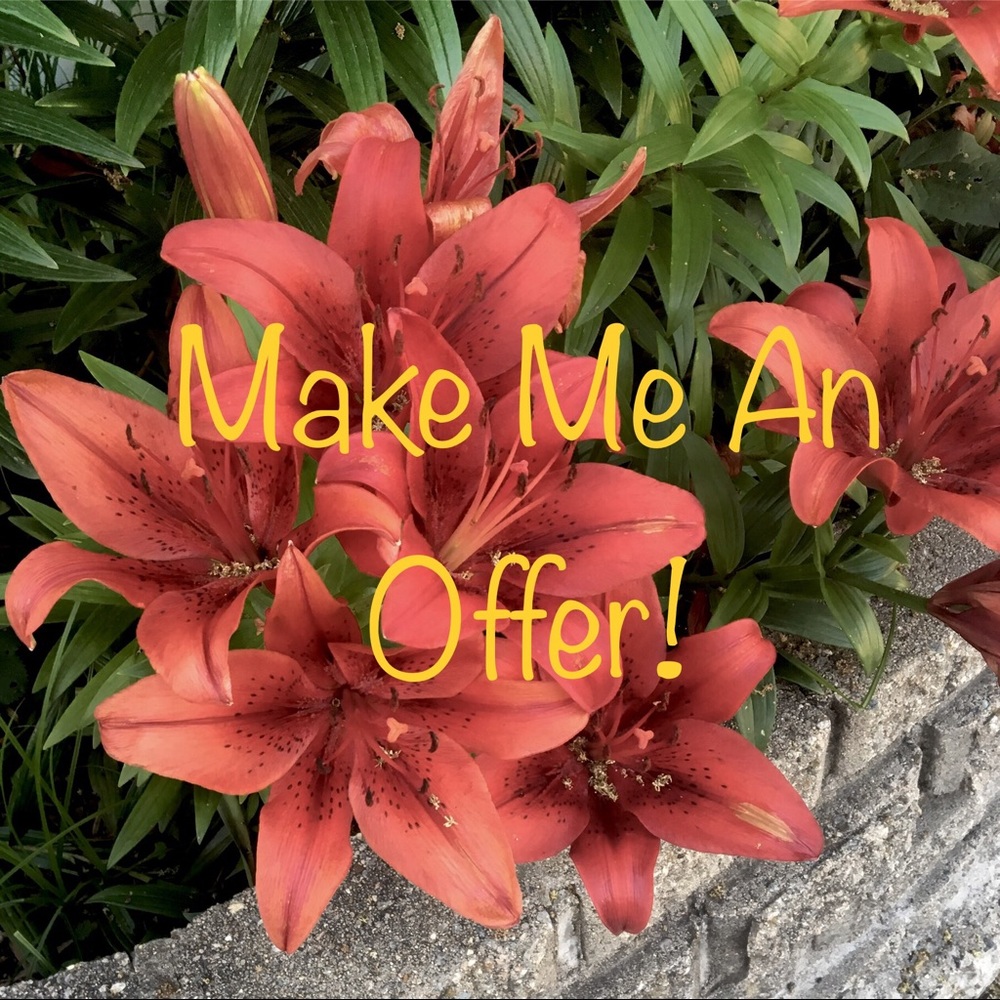 Don’t be afraid to make an offer!